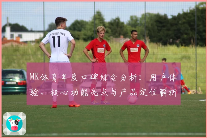 MK体育年度口碑综合分析：用户体验、核心功能亮点与产品定位解析